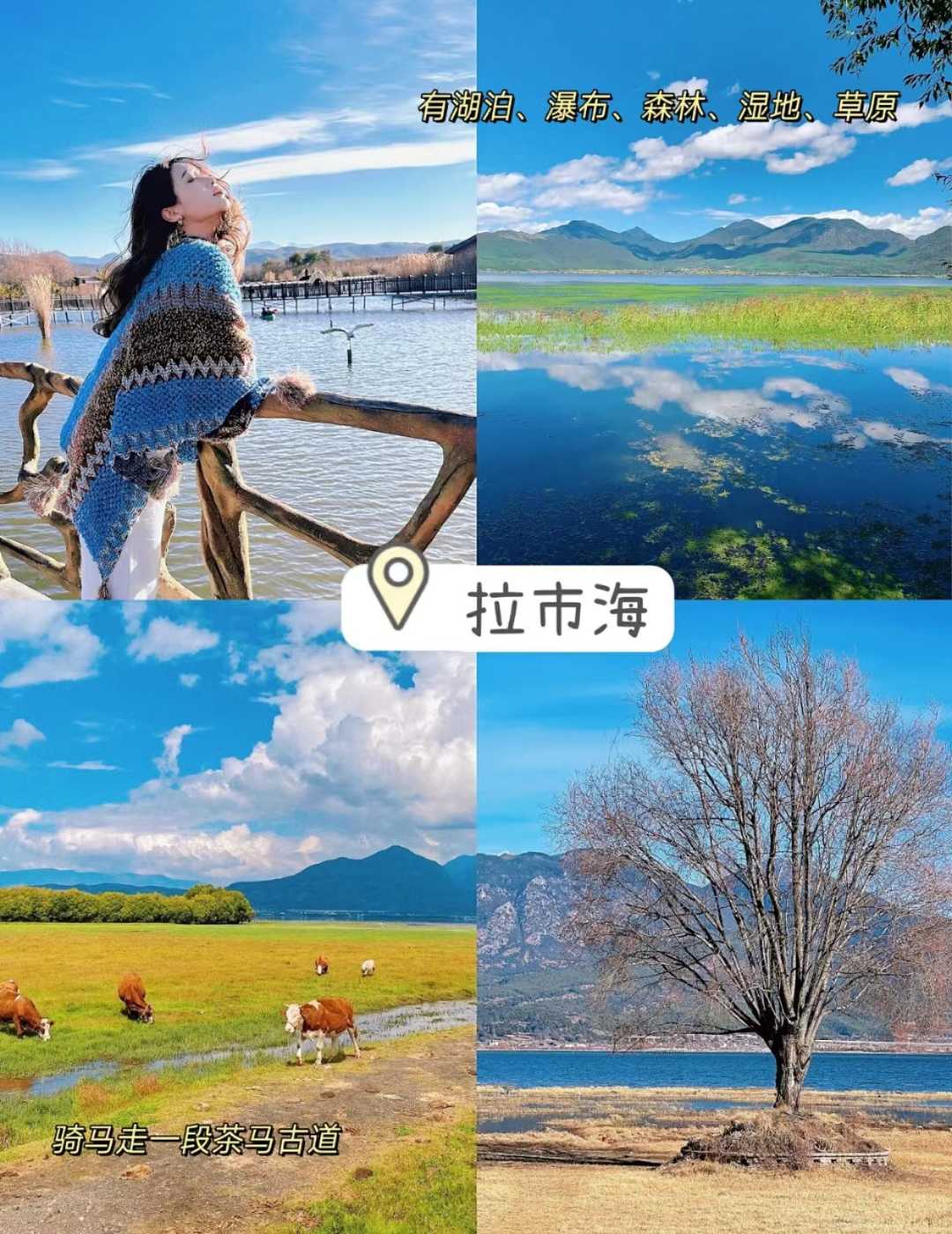 去雲南旅行如何規劃景點路線？有哪些景點必去遊玩？雲南住宿門票如何預定,去過的推薦一下詳細圖文版旅遊攻略！最好推薦一位當地導遊給我，謝謝 ...